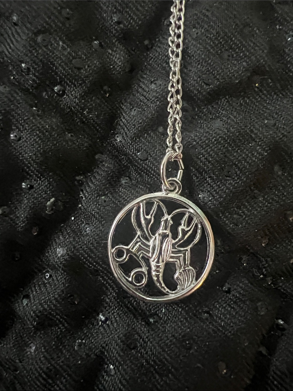 Vintage VNS STG Sterling Silver Cancer Zodiac Pendant Necklace
